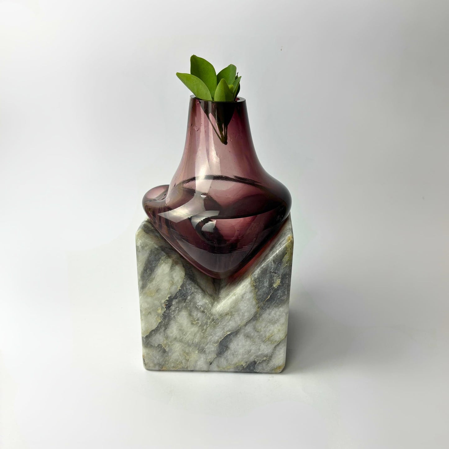 Amara Bordo Cam Vazo