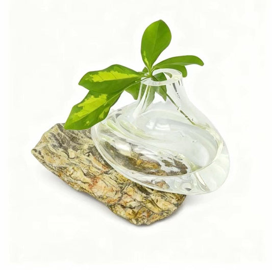 Kapadokya Şeffaf Cam Vazo No:2