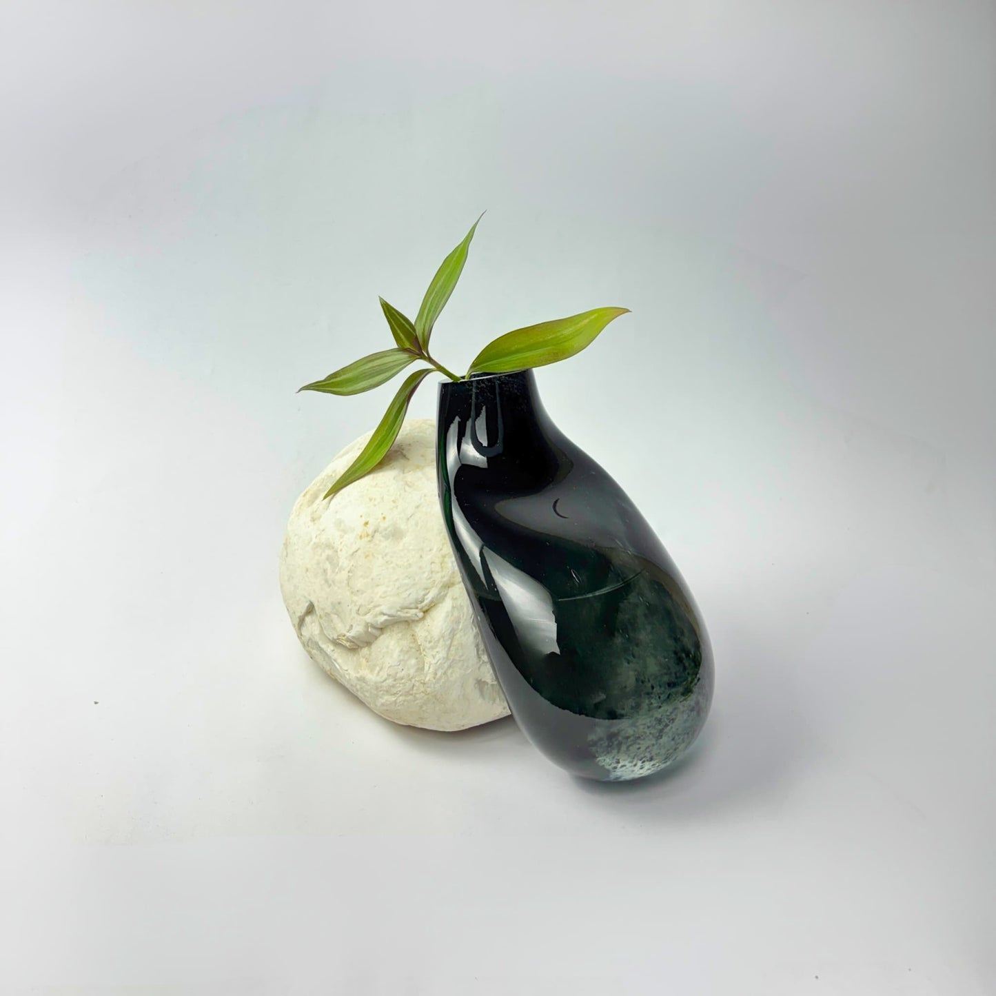 Noir Siyah Cam Vazo No: 2