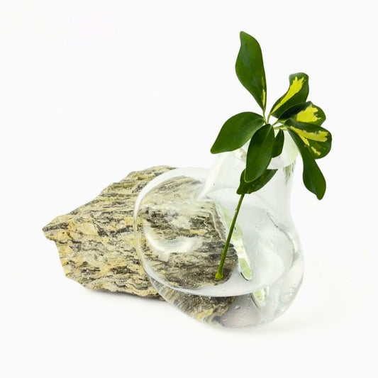 Kapadokya Şeffaf Cam Vazo No:3