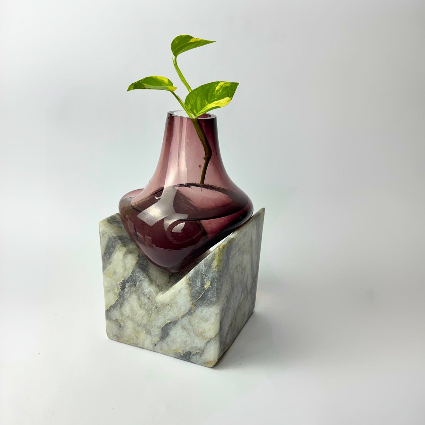 Amara Bordo Cam Vazo