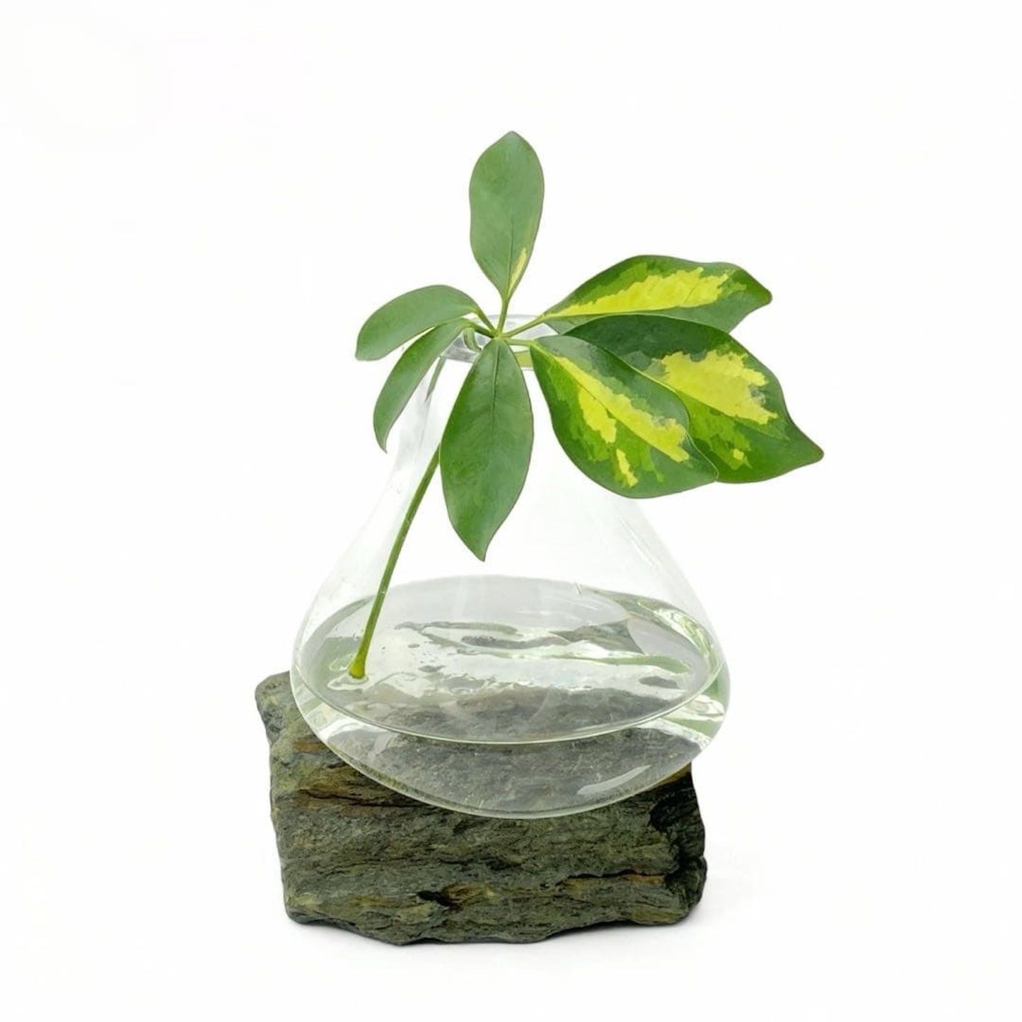 Likya Şeffaf Cam Vazo No:1