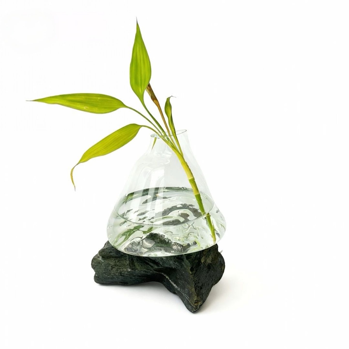 Likya Şeffaf Cam Vazo No:2