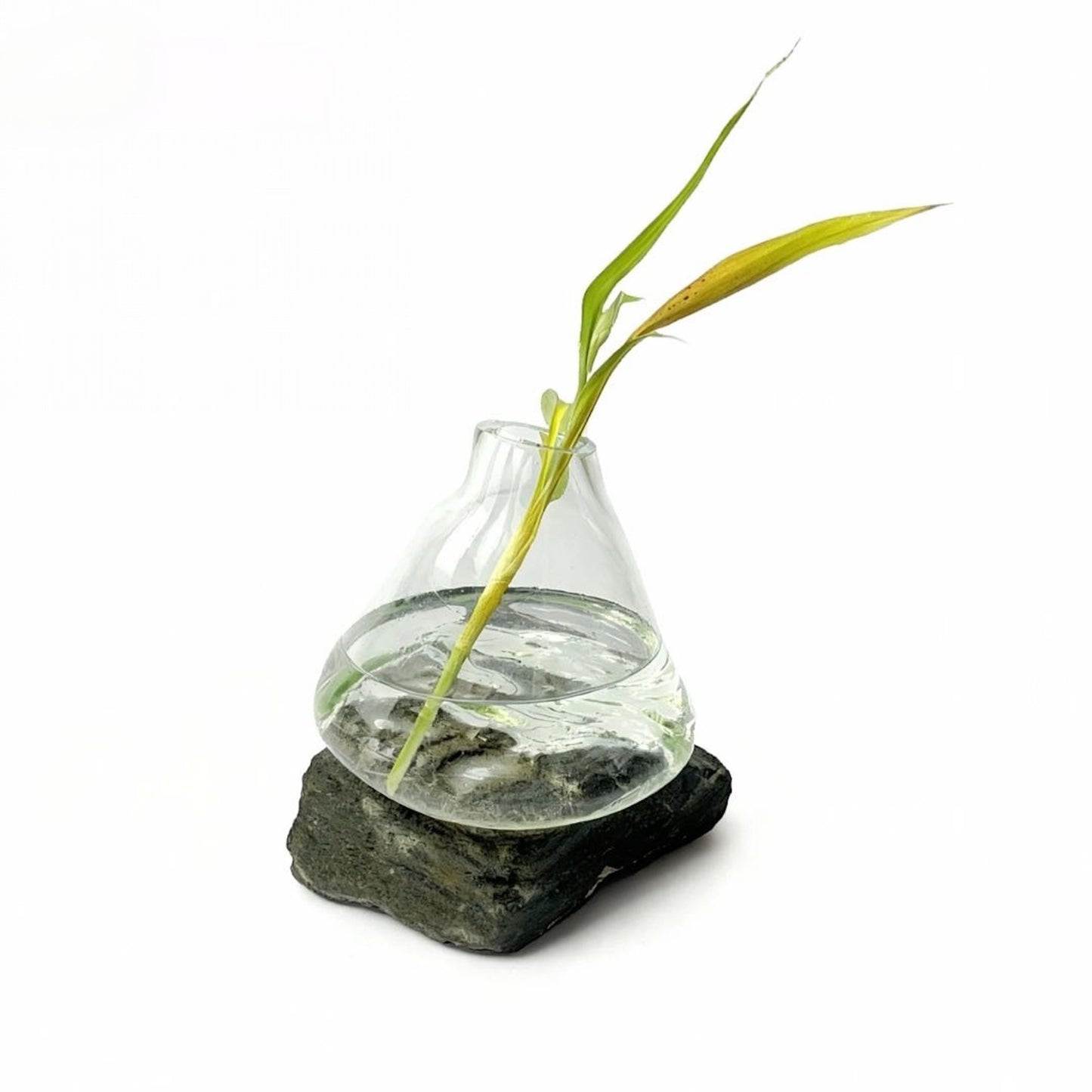 Likya Şeffaf Cam Vazo No:2